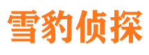 天元捉小三公司